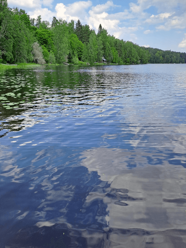 Vihnusjärvi, Nokia
